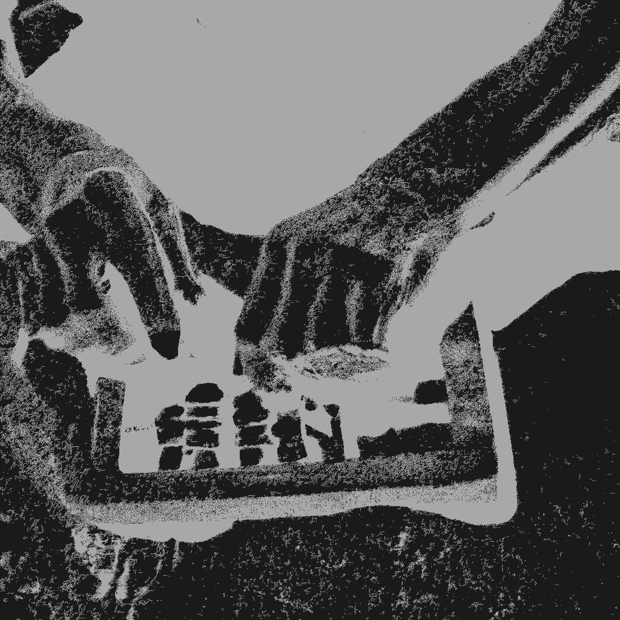 Last Computer